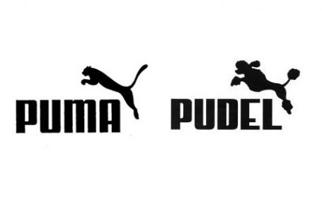 puma-vs-pudel1-e1446536007702