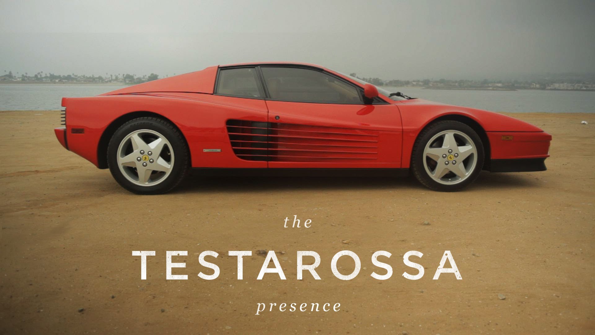 Marchio Testarossa