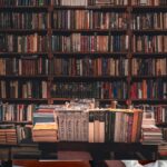 Libri di pubblico dominio: dai libri al grande schermo: come il pubblico dominio può rivoluzionare il tuo progetto