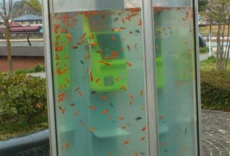 Idee e opere d'arte: il caso goldfish phone booth e il diritto d'autore