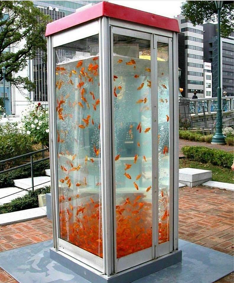 fishtank-phonebooth-by-kingyobu-collective-in-japan