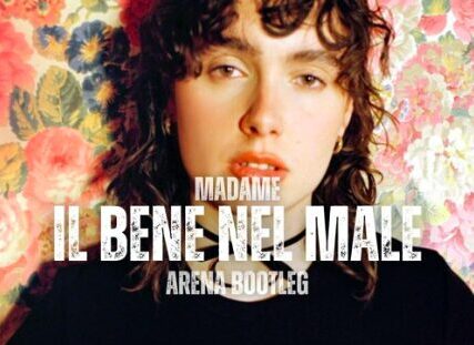 Madame v. Duna Sanchez: cover di una canzone Cover di una canzone: cosa serve l'autorizzazione? Il caso Madame/Duna Sanchez Madame v. Duna Sanchez